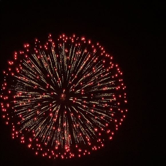 HI there, I’m Bella - Picture 2 of 2